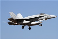 Alfonso Sols - Asociacin Canary Islands Spotting. Click to see full size photo