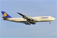 Miguel A. gueda Rguez.  (CANARY ISLANDS SPOTTING). Click to see full size photo