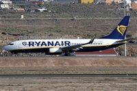 Alfonso Sols - Asociacin Canary Islands Spotting. Click to see full size photo