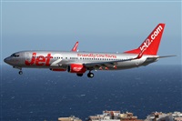 ©Alfonso Solís - Asociación Canary Islands Spotting. Click to see full size photo ©Alfonso Solís - Asociación Canary Islands Spotting. Click to see full size photo