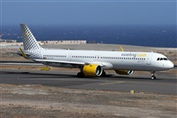 ©Alfonso Solís - Asociación Canary Islands Spotting. Click to see full size photo ©Alfonso Solís - Asociación Canary Islands Spotting. Click to see full size photo