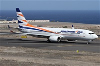 ©Alfonso Solís - Asociación Canary Islands Spotting. Click to see full size photo ©Alfonso Solís - Asociación Canary Islands Spotting. Click to see full size photo