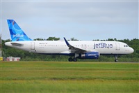 Miguel A. gueda Rguez.  (CANARY ISLANDS SPOTTING). Haz click para ampliar