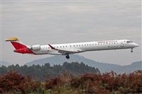 �A. Torres. Click to see full size photo