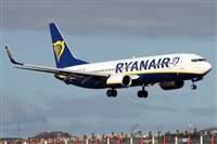 �Alfonso Sol�s - Asociaci�n Canary Islands Spotting. Click to see full size photo