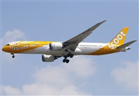 ©Javier Rodríguez. Click to see full size photo ©Javier Rodríguez. Click to see full size photo