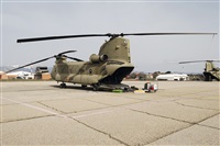 �Pedro M. Moreno. Click to see full size photo