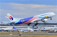 �Miguel A. �gueda Rguez.  (CANARY ISLANDS SPOTTING). Click to see full size photo