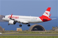 �Miguel A. �gueda Rguez.  (CANARY ISLANDS SPOTTING). Click to see full size photo