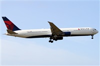 �Alfonso Sol�s - Asociaci�n Canary Islands Spotting. Click to see full size photo