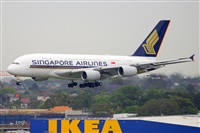 �Miguel A. �gueda Rguez.  (CANARY ISLANDS SPOTTING). Click to see full size photo