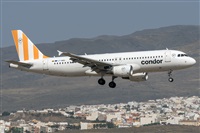 ©Adolfo Bento - Gran Canaria Spotters. Click to see full size photo ©Adolfo Bento - Gran Canaria Spotters. Click to see full size photo