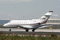 Jos Miguel Bernases - Noisy Spotters. Click to see full size photo