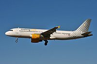 Jos Miguel Bernases - Noisy Spotters. Click to see full size photo