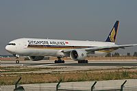 ©José Miguel Bernases - Noisy Spotters. Click to see full size photo ©José Miguel Bernases - Noisy Spotters. Click to see full size photo