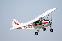 Javier Bozzino Barbudo. Click to see full size photo