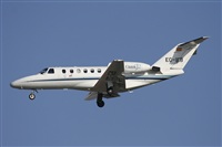 Jos Miguel Bernases - Noisy Spotters. Click to see full size photo