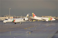 Jos Miguel Bernases - Noisy Spotters. Click to see full size photo