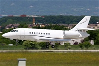Rodrigo Carvalho - Noisy Spotters. Click to see full size photo