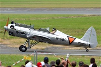 Rodrigo Carvalho - Noisy Spotters. Click to see full size photo