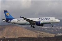 Alfonso Sols - Asociacin Canary Islands Spotting. Click to see full size photo