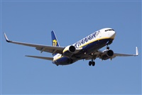 Alfonso Sols - Asociacin Canary Islands Spotting. Click to see full size photo