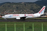 J M Sabina-Asociacin Canary Islands Spotting. Click to see full size photo