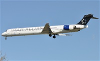 Rubn Gil - Noisy Spotters. Click to see full size photo