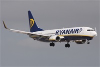 Alfonso Sols - Asociacin Canary Islands Spotting. Click to see full size photo