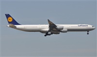 Rubn Gil - Noisy Spotters. Click to see full size photo