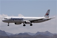 Alfonso Sols - Asociacin Canary Islands Spotting. Click to see full size photo