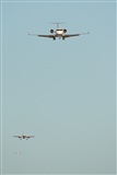 Rodrigo Carvalho - Noisy Spotters. Click to see full size photo