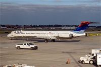 Javier de la Cruz - CANARY ISLANDS SPOTTING. Click to see full size photo
