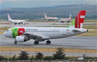 Alejandro Bethencourt (Canary Islands Spotting). Click to see full size photo