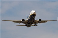 ©Ismael -Costa del Sol Spotters- (Fuengirola). Click to see full size photo ©Ismael -Costa del Sol Spotters- (Fuengirola). Click to see full size photo