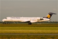 Javier de la Cruz - CANARY ISLANDS SPOTTING. Click to see full size photo