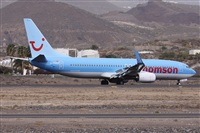 ©Alfonso Solís - Asociación Canary Islands Spotting. Click to see full size photo ©Alfonso Solís - Asociación Canary Islands Spotting. Click to see full size photo