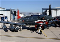 Ral Zamora M. Click to see full size photo