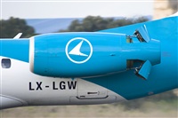 Rui Alves - Madeira Spotters. Click to see full size photo