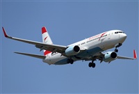 Jos Miguel Bernases - Noisy Spotters. Click to see full size photo