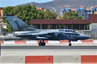 ©Salvador de la Rubia ( Marbella Spotters ). Click to see full size photo ©Salvador de la Rubia ( Marbella Spotters ). Click to see full size photo