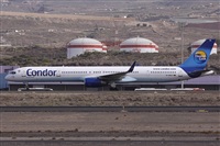 ©Alfonso Solís - Asociación Canary Islands Spotting. Click to see full size photo ©Alfonso Solís - Asociación Canary Islands Spotting. Click to see full size photo