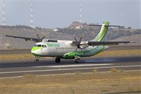 Javier de la Cruz - CANARY ISLANDS SPOTTING. Click to see full size photo