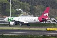 Javier de la Cruz - CANARY ISLANDS SPOTTING. Click to see full size photo