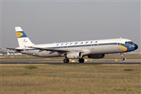 Miguel Alia - Noisy Spotters. Click to see full size photo