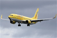 Adrin Alonso Lemes - Lanzarote Spotters. Click to see full size photo