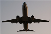 Saimon J Rodriguez   -   Canary Islands Spotting. Click to see full size photo