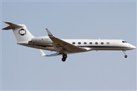 Rubn Gil - Noisy Spotters. Click to see full size photo