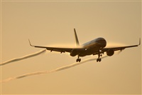 Rubn Gil - Noisy Spotters. Click to see full size photo