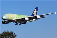 Florencio Martn Melin - Lanzarote Spotters. Click to see full size photo